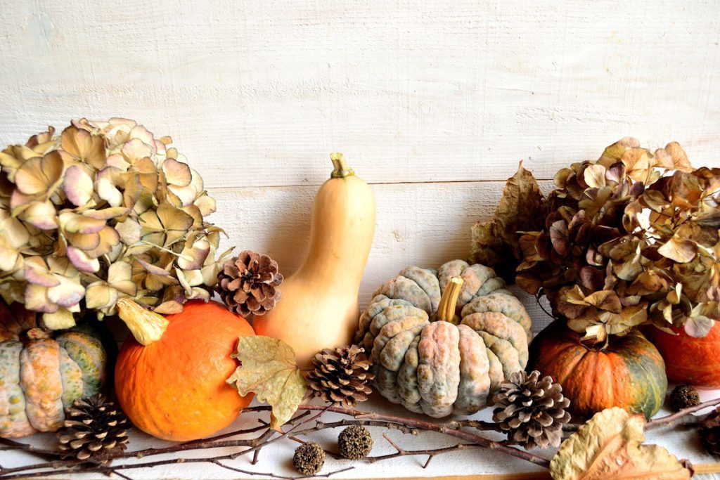 fall harvest festive decoration ideas for your home
